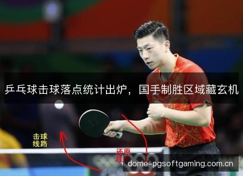 乒乓球击球落点统计出炉，国手制胜区域藏玄机