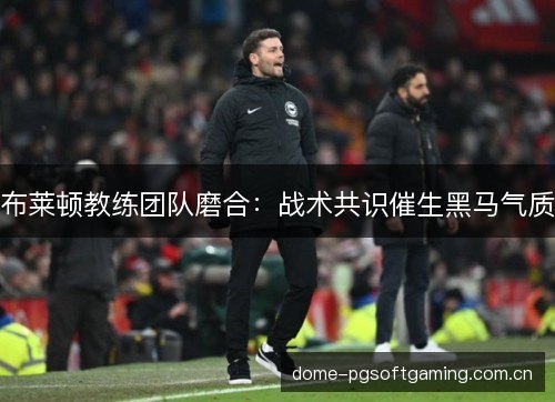 布莱顿教练团队磨合：战术共识催生黑马气质